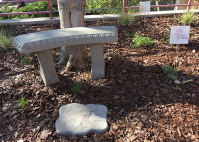 Shaded seating within the native garden invites students to rest in the shade.